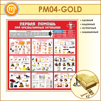 ����� ������� ������ ��� ������������ ���������� (PM-04-GOLD)