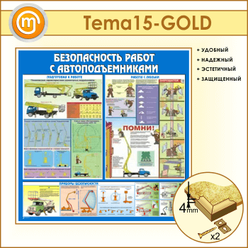 ����� ������������� ����� � ���������������� (TM-15-GOLD)
