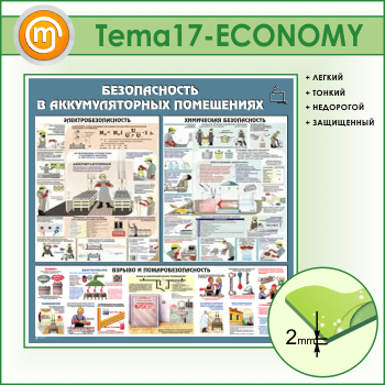 ����� ��������������� ���������� (TM-17-ECONOMY)