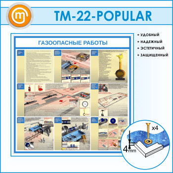 ����� ������������ ������� (TM-22)