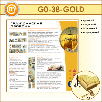 ����� ������������ ������� (GO-38-GOLD)