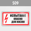 ���� (������) ���������� ������ ��� �����, S09 (������, 300�150 ��)